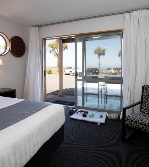 Beachview QQ Dog Friendly Room 1-regular