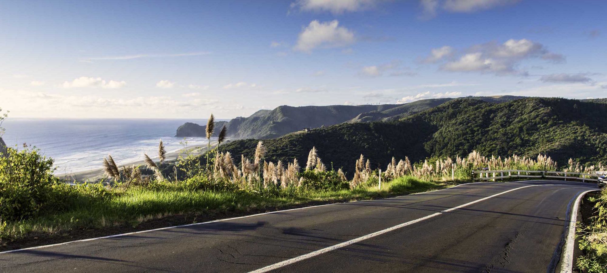 Piha at a distance