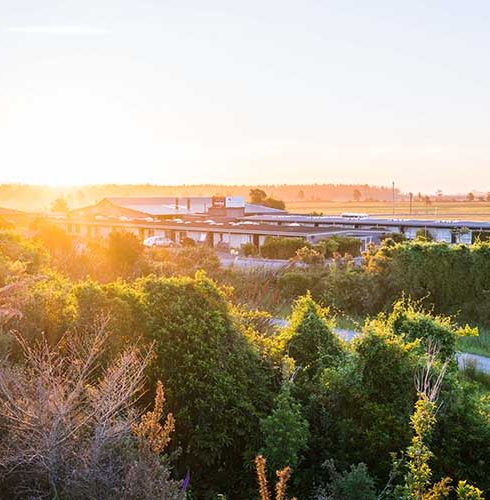 Heartland-Hotel-Haast-Exterior-Sunset-2-Small