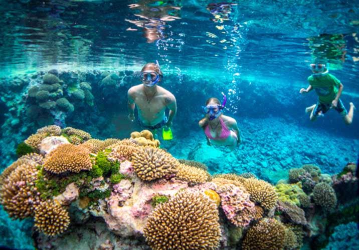 Niue-Island-Snorkeling-Underwater-Nature-Activities-People-1-Small