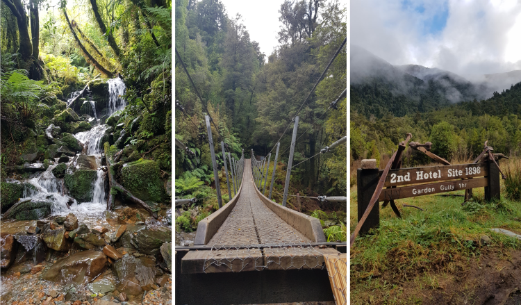 Paparoa Track - day one sights