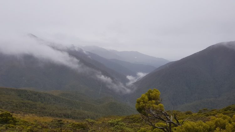 Paparoa Ranges and National Park - Paparoa Track