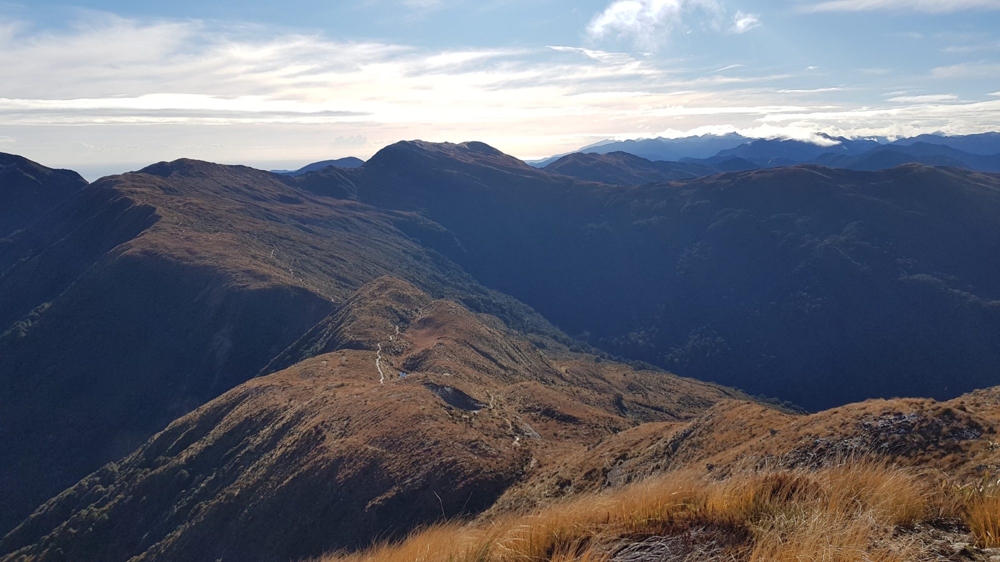 Paparoa-Track-Great-Walk