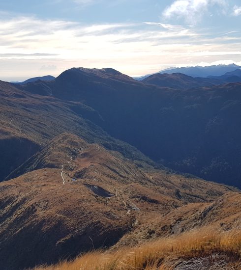 Paparoa-Track-Great-Walk