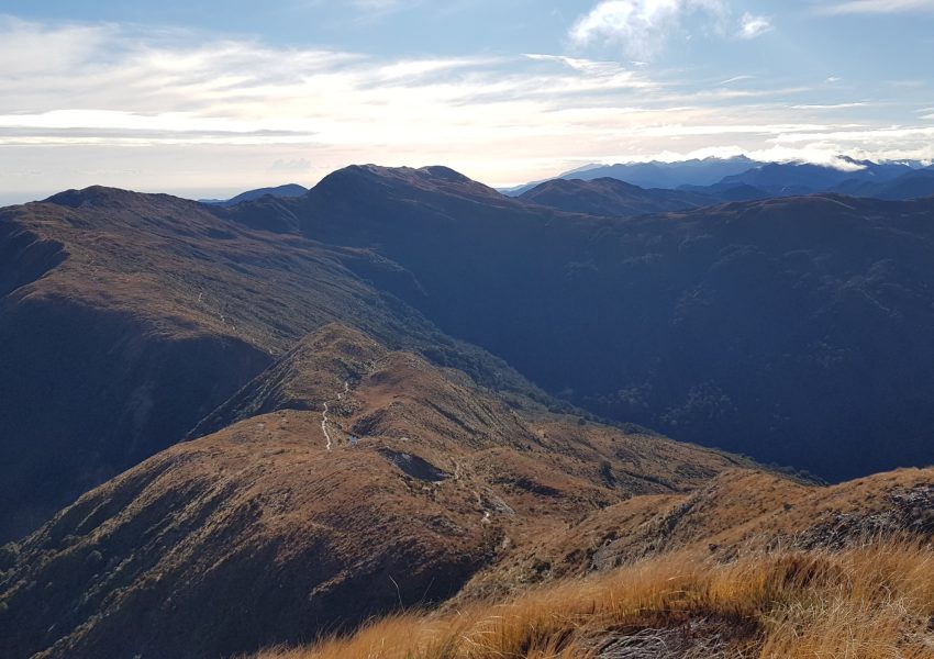 Paparoa-Track-Great-Walk