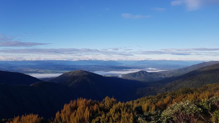 Paparoa Ranges and National Park, Paparoa Track