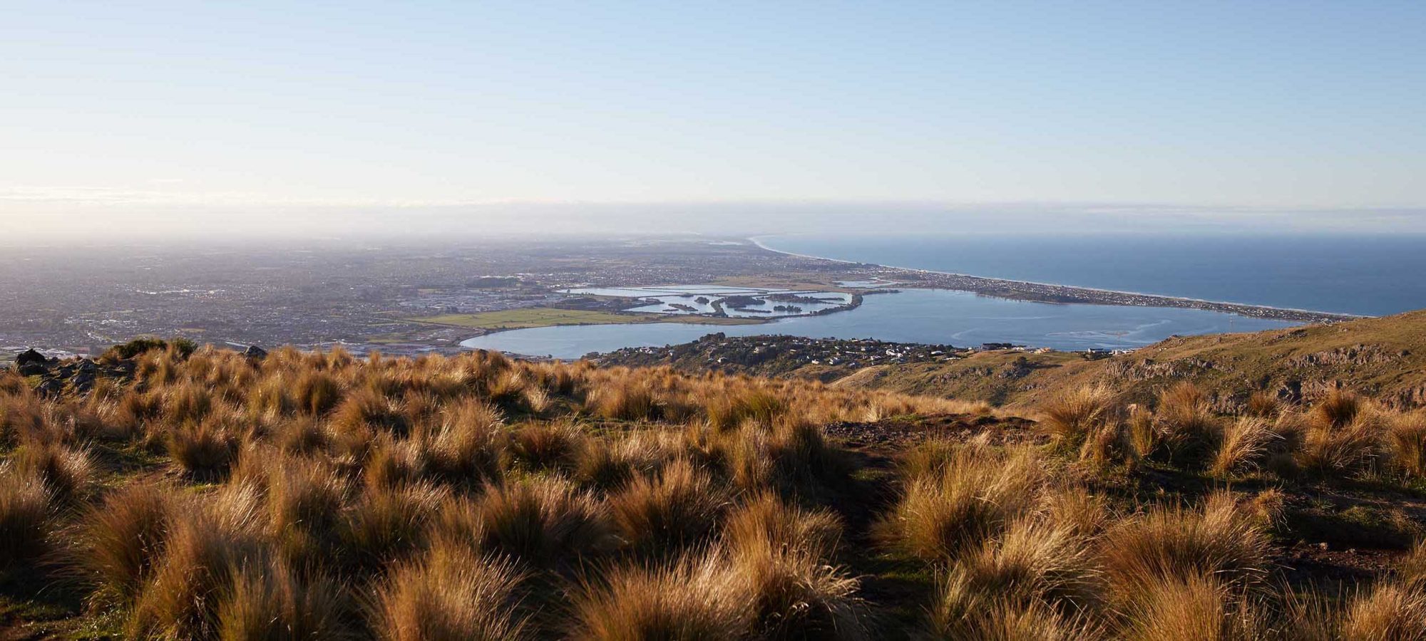 View to Christchurch from up hill pasture at sunset