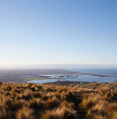 View to Christchurch from up hill pasture at sunset