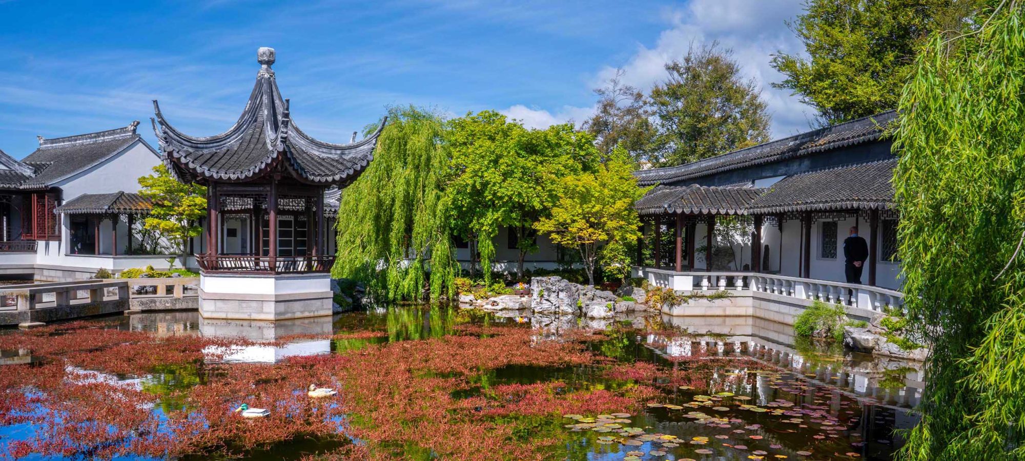 Region-Dunedin-Otago-Chinese-Gardens-Park-Nature-Banner