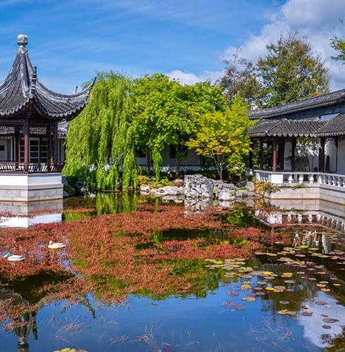 Region-Dunedin-Otago-Chinese-Gardens-Park-Nature-Small