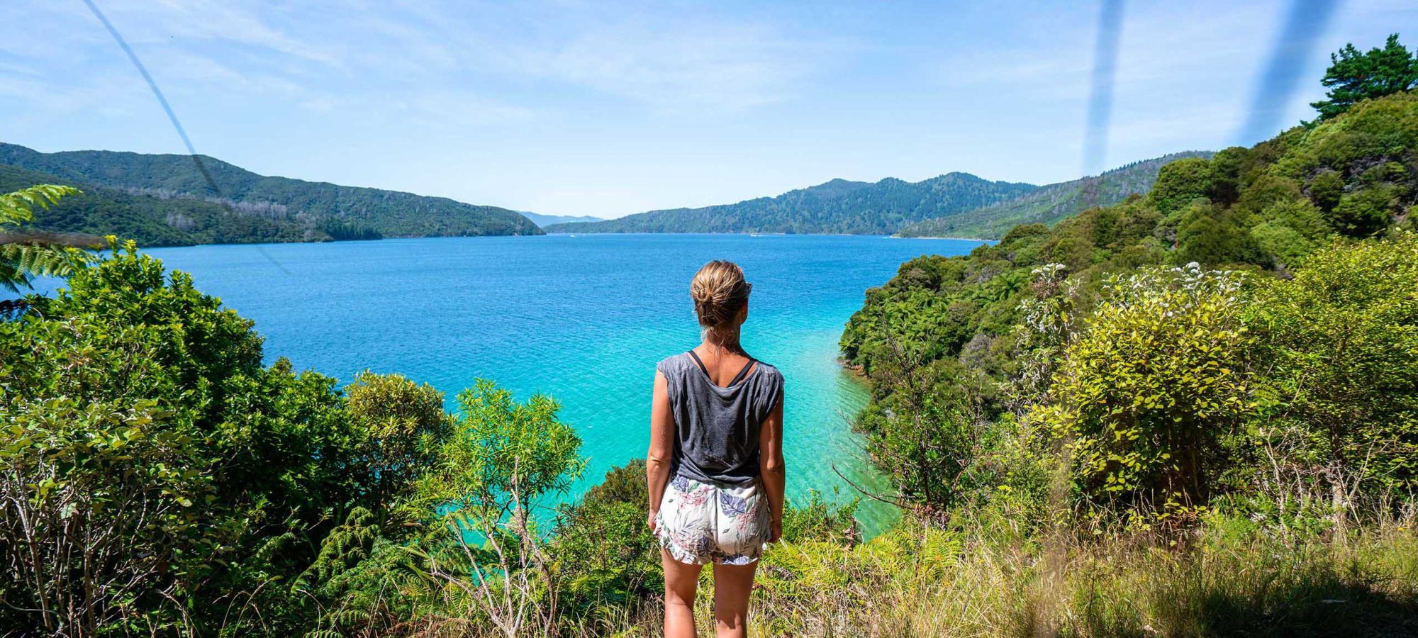 Region-Marlborough-Bay-Water-Scenery-View-Walk-People-Banner