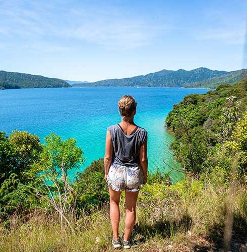 Region-Marlborough-Bay-Water-Scenery-View-Walk-People-Small