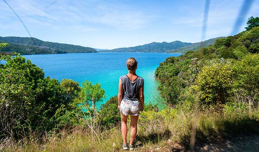 Region-Marlborough-Bay-Water-Scenery-View-Walk-People-Small