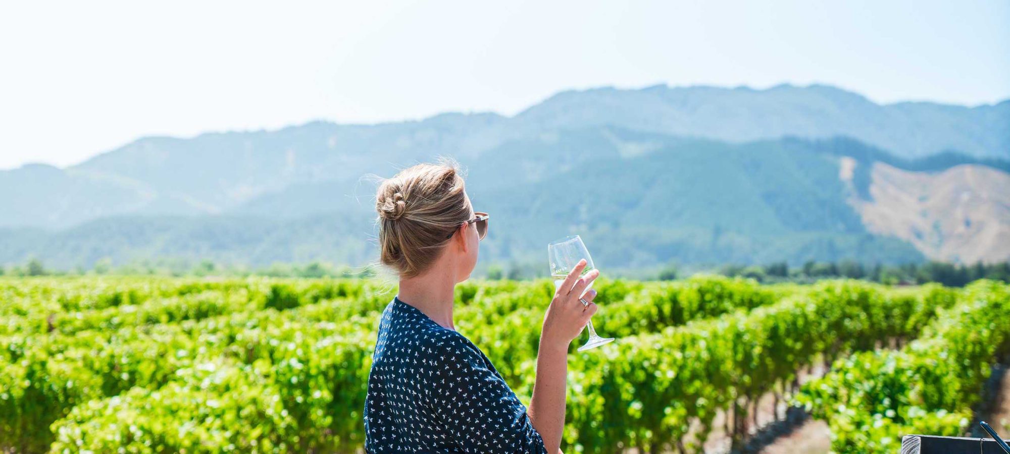 Region-Marlborough-Vineyard-Scenery-Wine-People-View-Banner