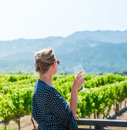 Region-Marlborough-Vineyard-Scenery-Wine-People-View-Small