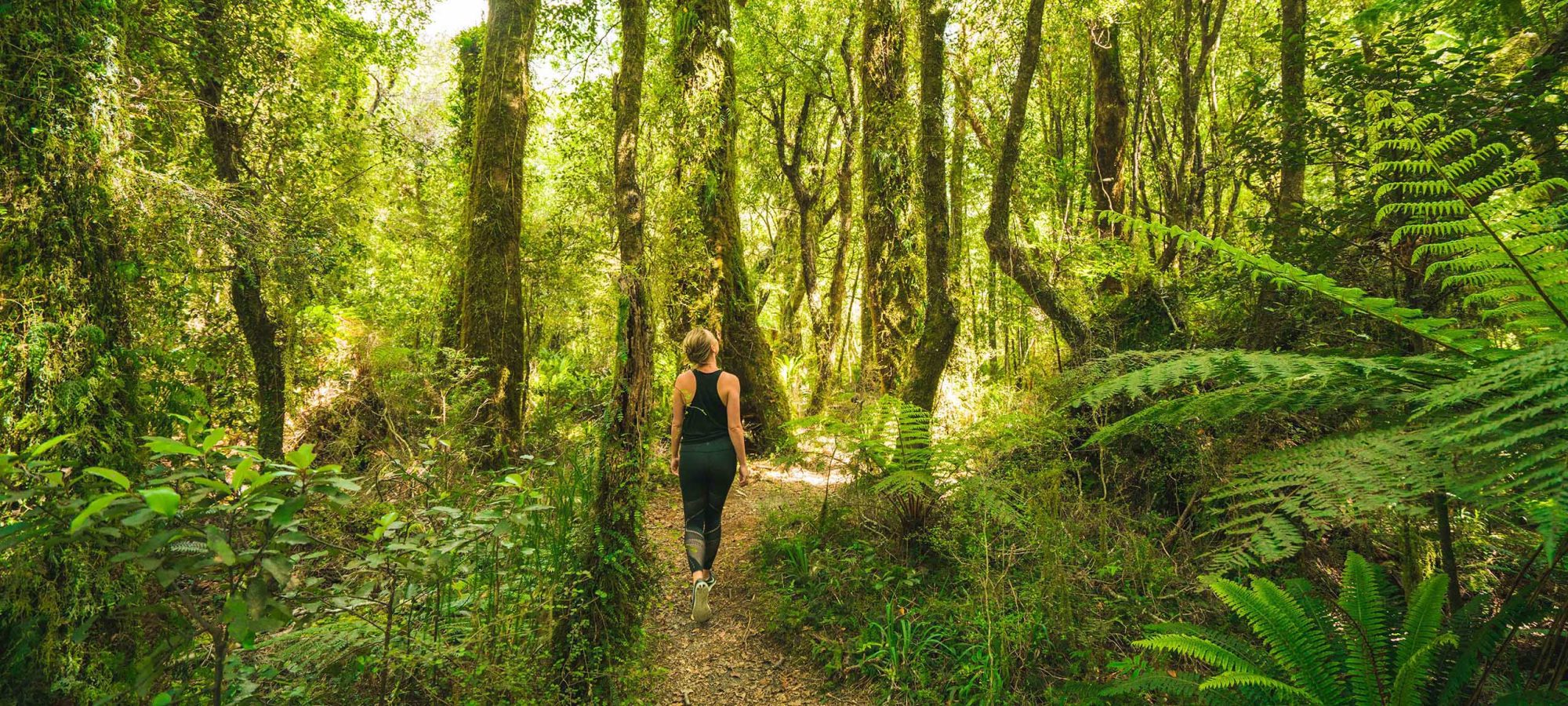 Region-West-Coast-Forest-Ferns-Walk-People-Banner