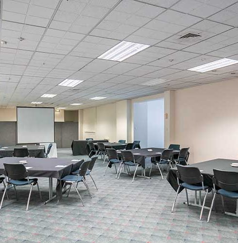 Scenic-Hotel-Southern-Cross-Dunedin-Conference-Venue-Cargill-Room-2-Small