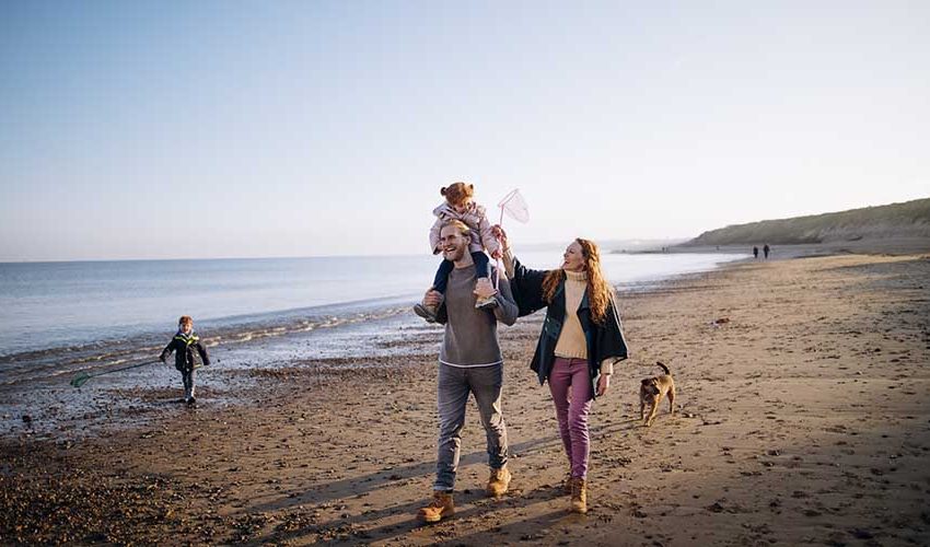Scenic beach with Dog and Family-Small