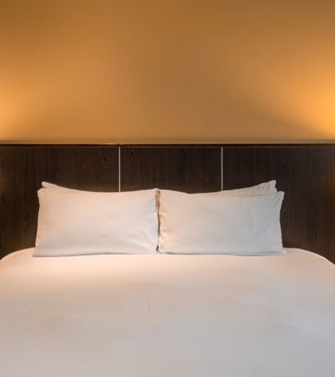 Scenic-hotel-dunedin-standard-king-room-regular