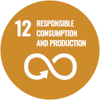 Sustainable Scenic Strategies SDG 12