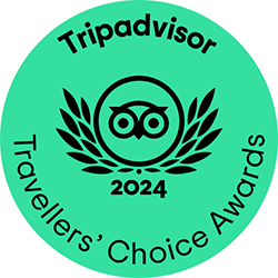 TC_green_winner-gif_LL_2024-round