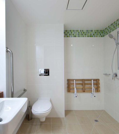 Te-Waonui-Deluxe-Accessible-Bathroom-Regular