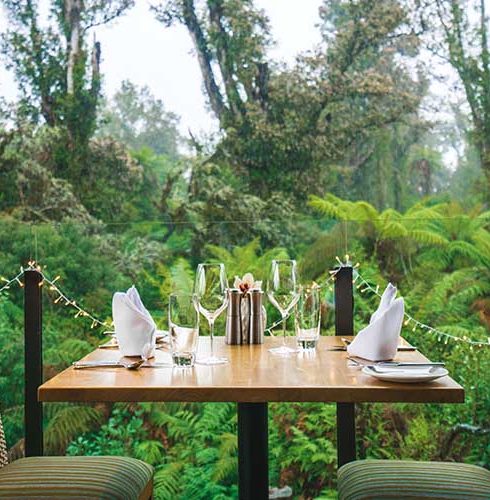 Opis lokacji Te-Waonui-Forest-Retreat-Restaurant-Forest-Dining-2-Small-490x500