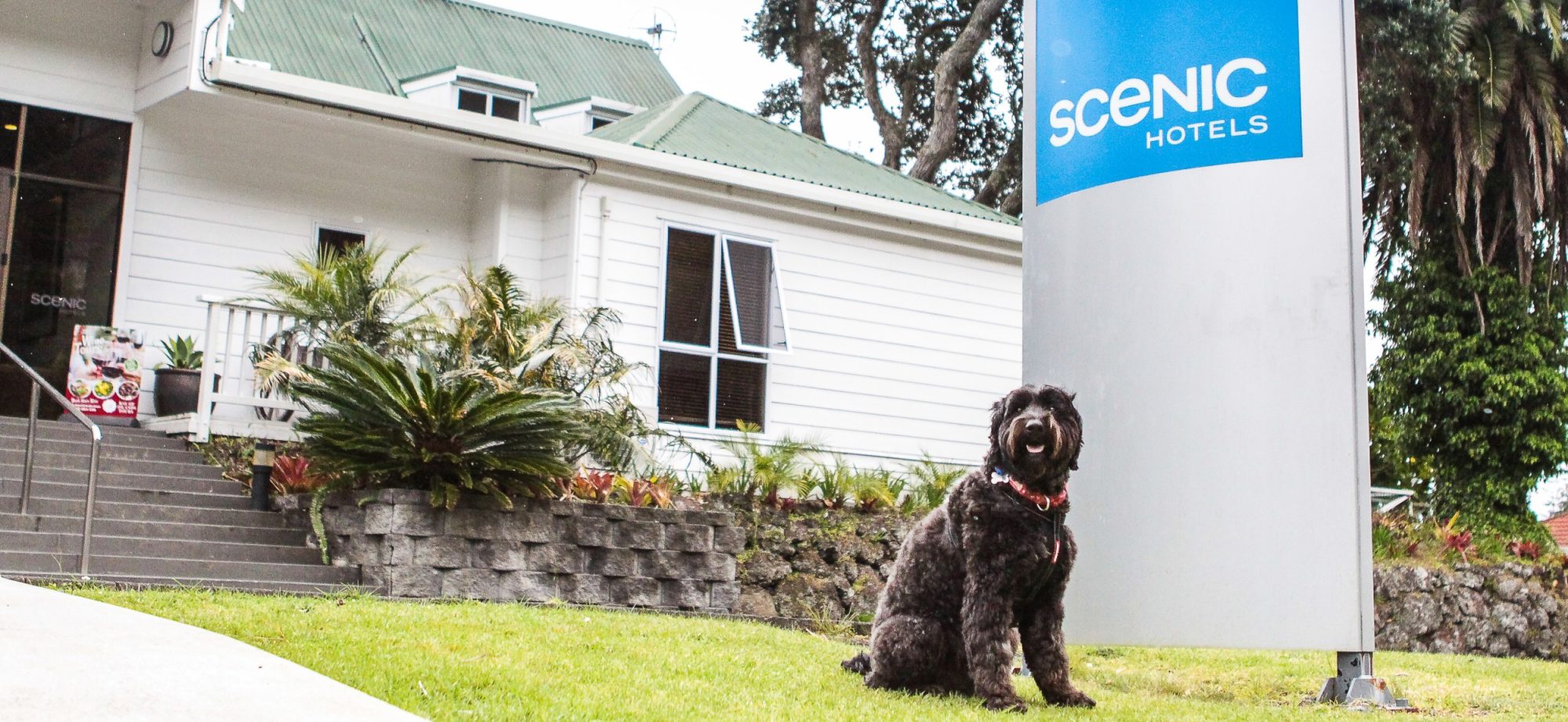 pet-friendly-room-banner