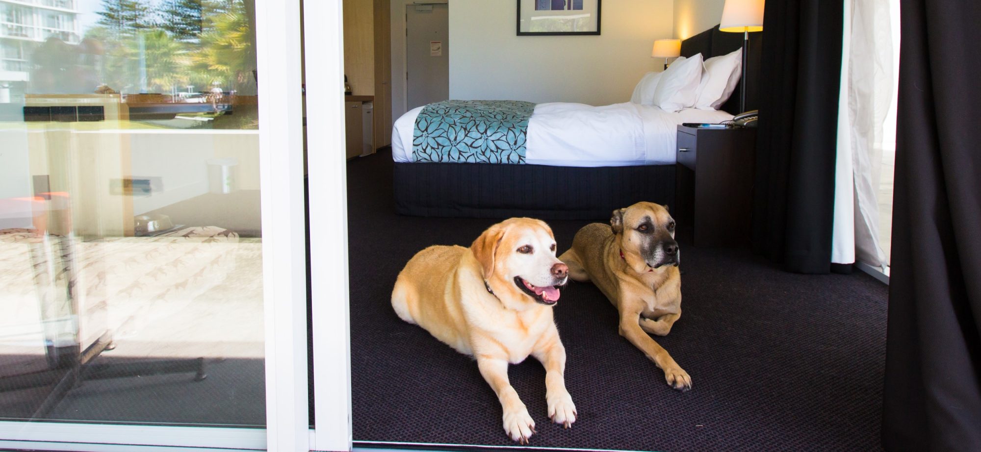 pet-friendly-rooms-banner