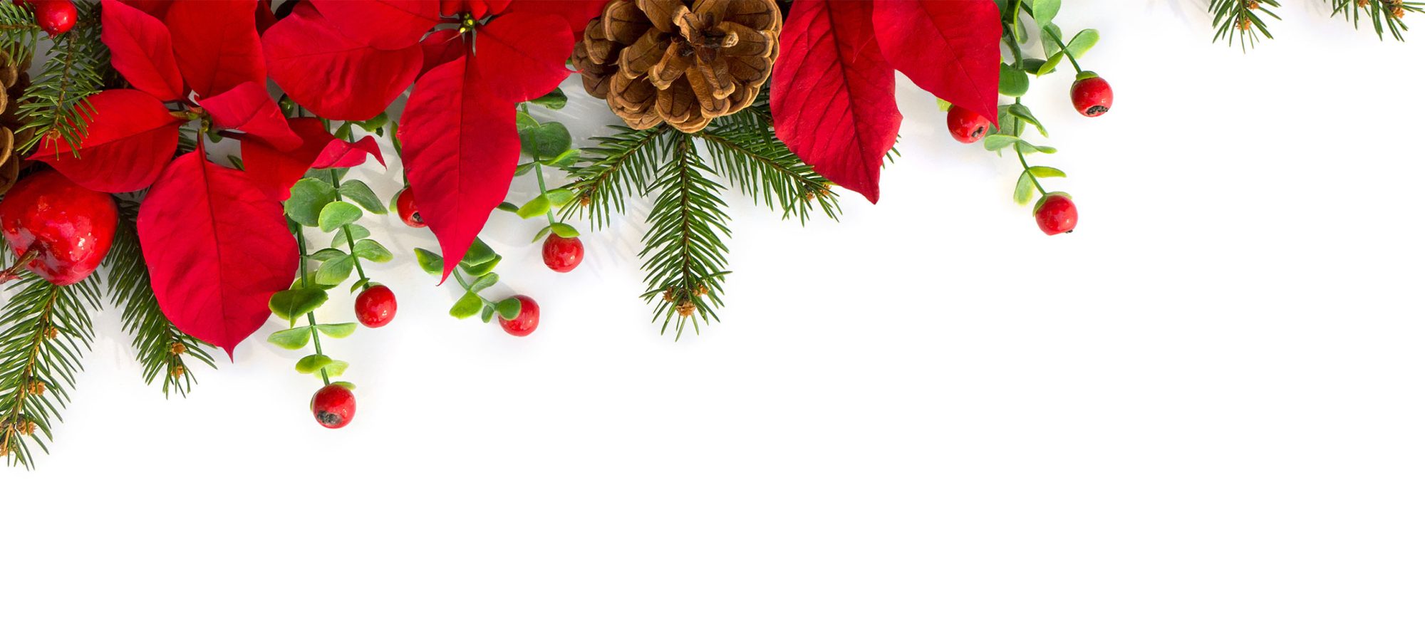 2830 QTN Peaks Xmas Menu Website Banner Image