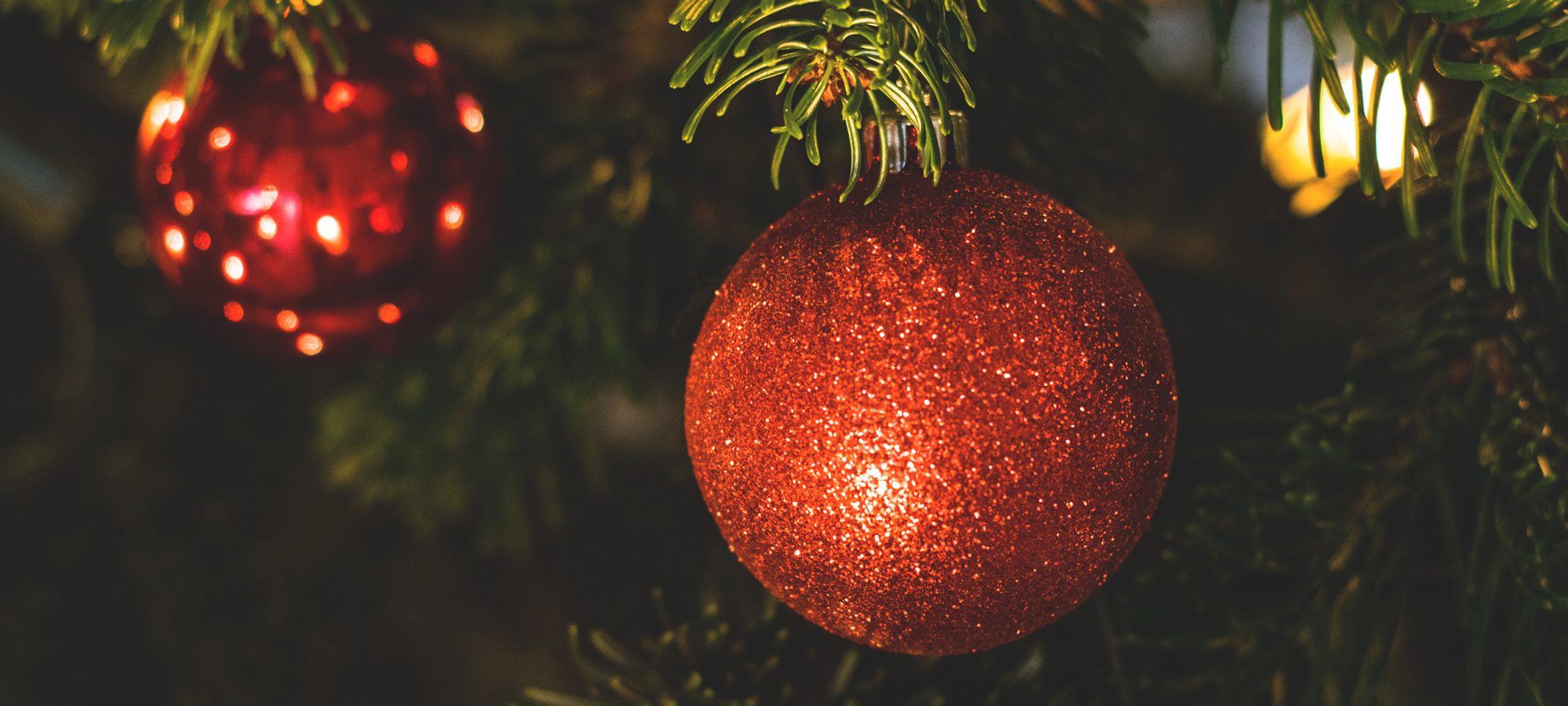 Christmas Dinner Banner