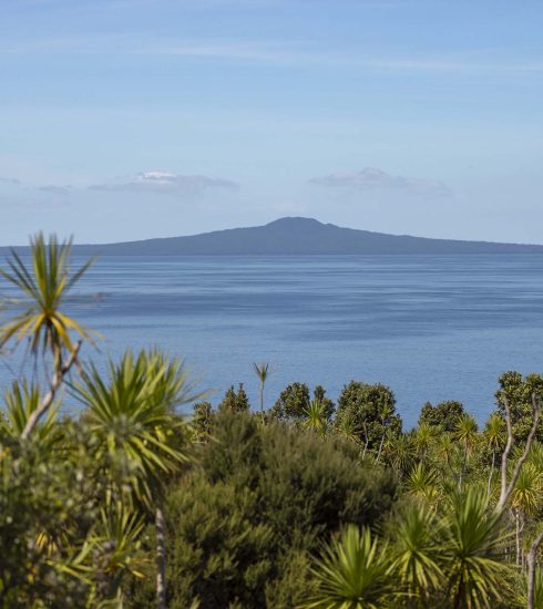 rangitoto-island-auckland-regular