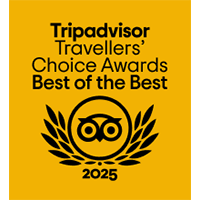 TC_BOTB_mustard_BF Logo_LL_2025_RGB-200px