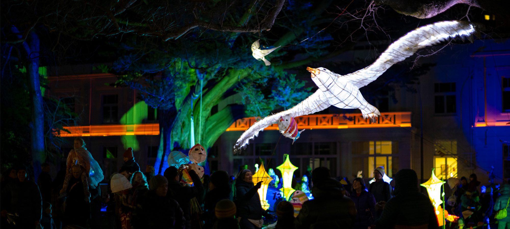 603111-event_dunedinmidwintercarnival2024_019_dunedinnz_website_banner