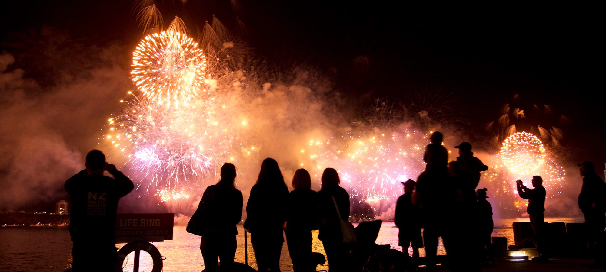 People watching the fireworks_70508 website banner