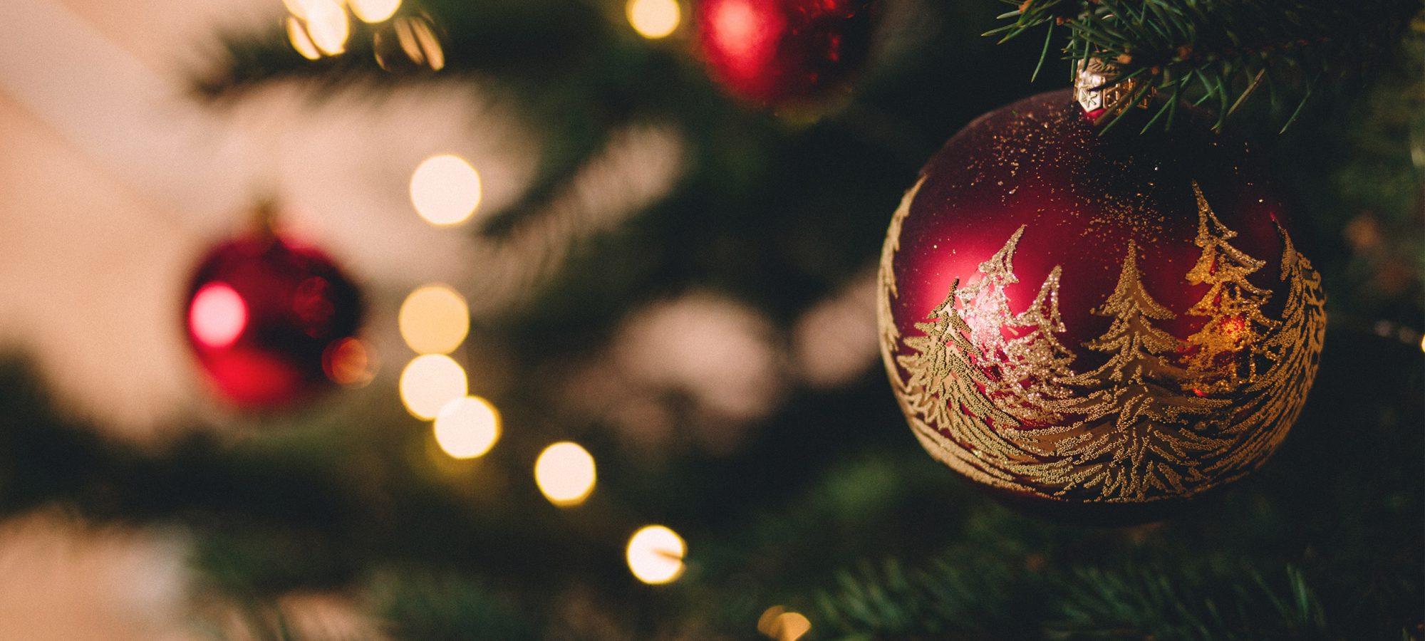 QTN Xmas Website Banner