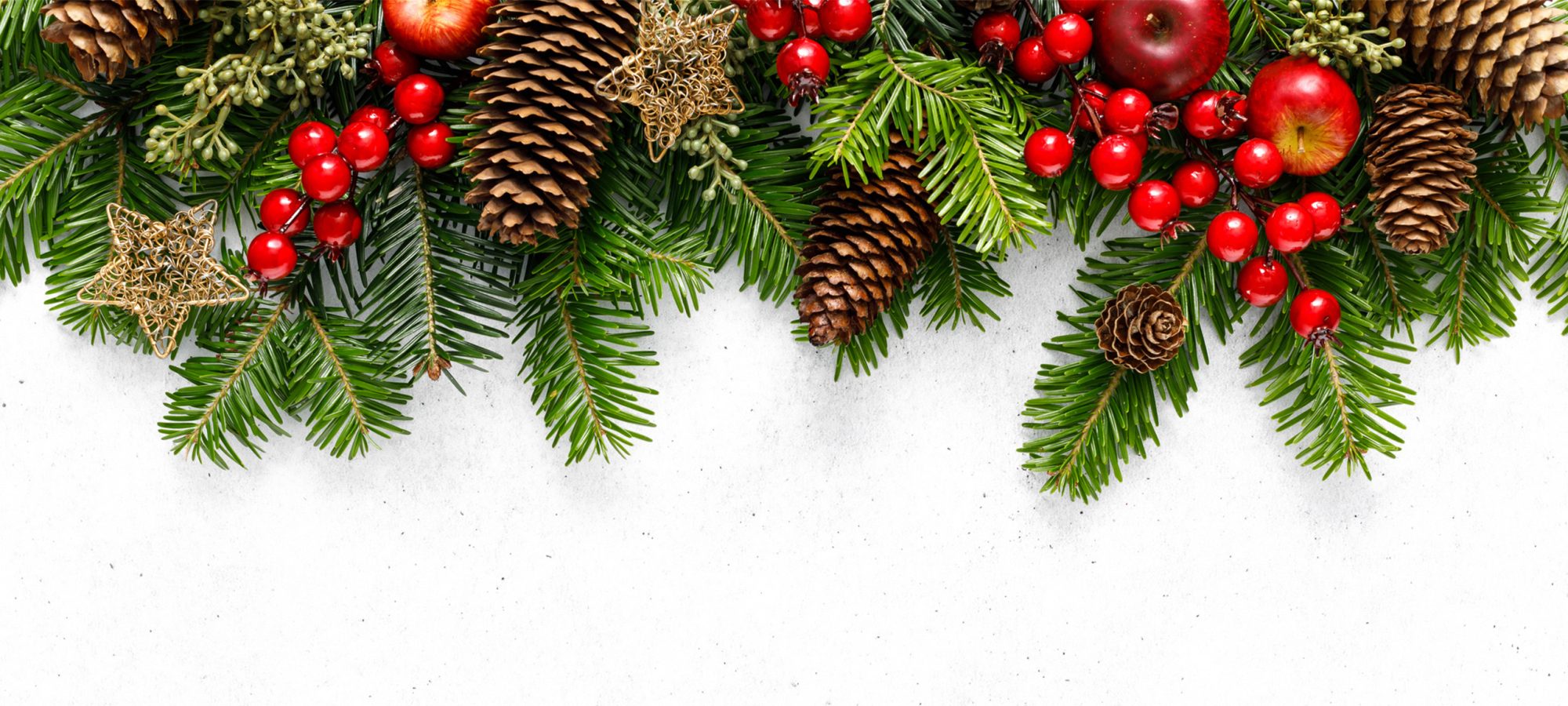 2509 BOI Xmas Website Banner