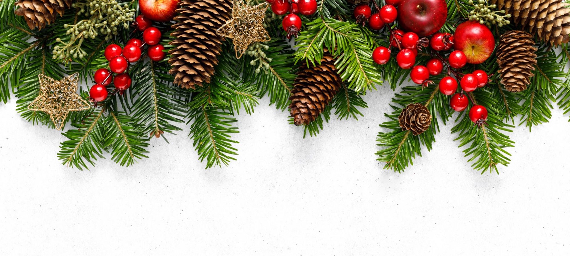 iStock-1615974315_02 website banner