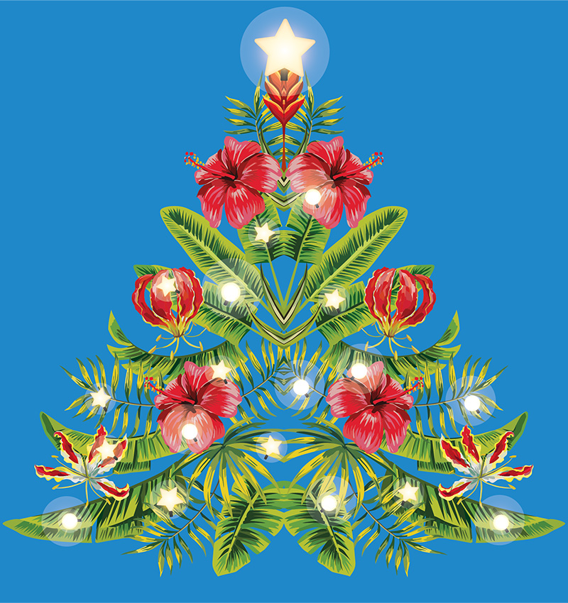 2509 NIU Website Image 800 x 850